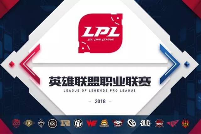他们不仅创