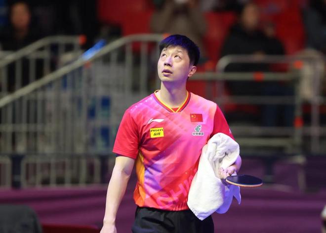 理的战术布 理的战术布