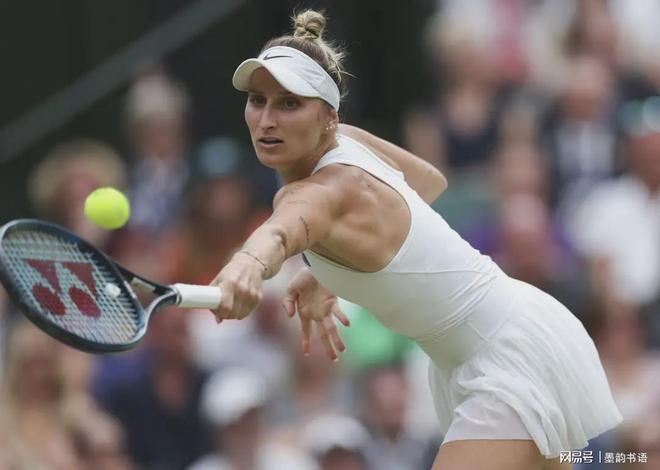 的高效单打 的高效单打