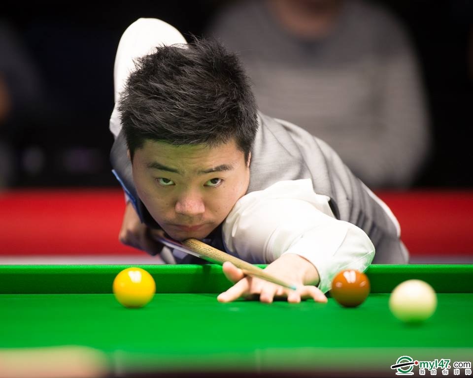 他们的行动 他们的行动