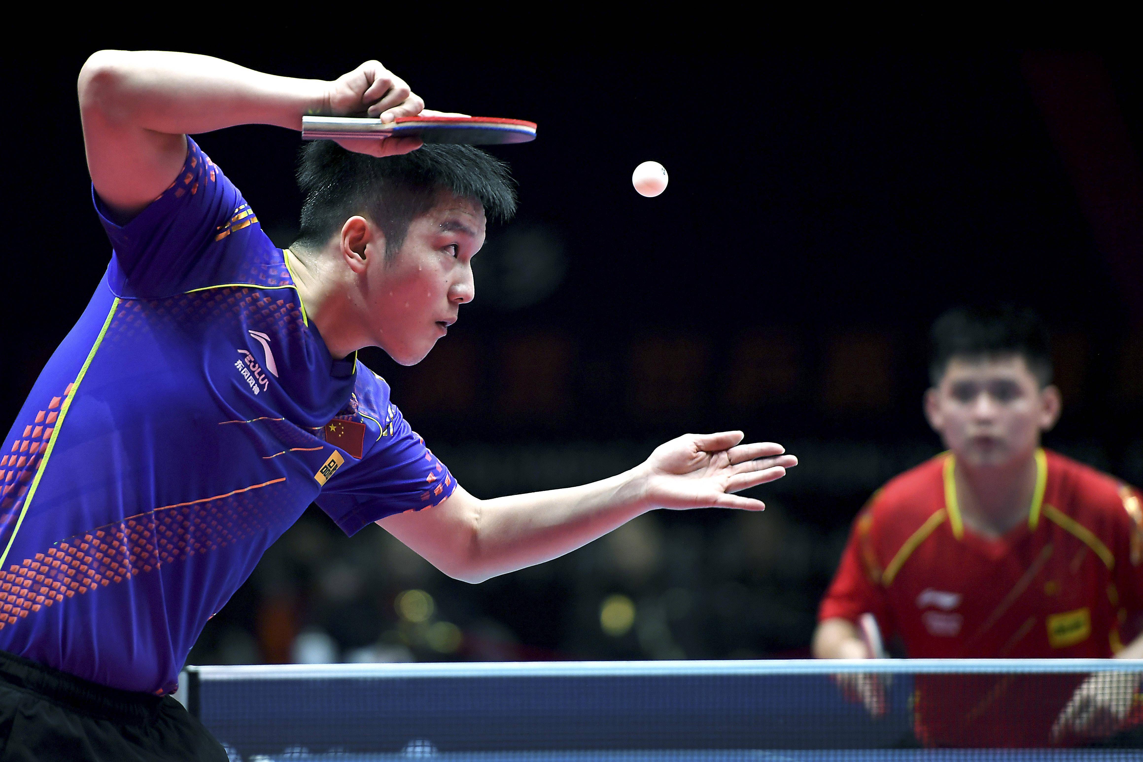 教练组的精 教练组的精